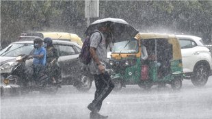 Rain