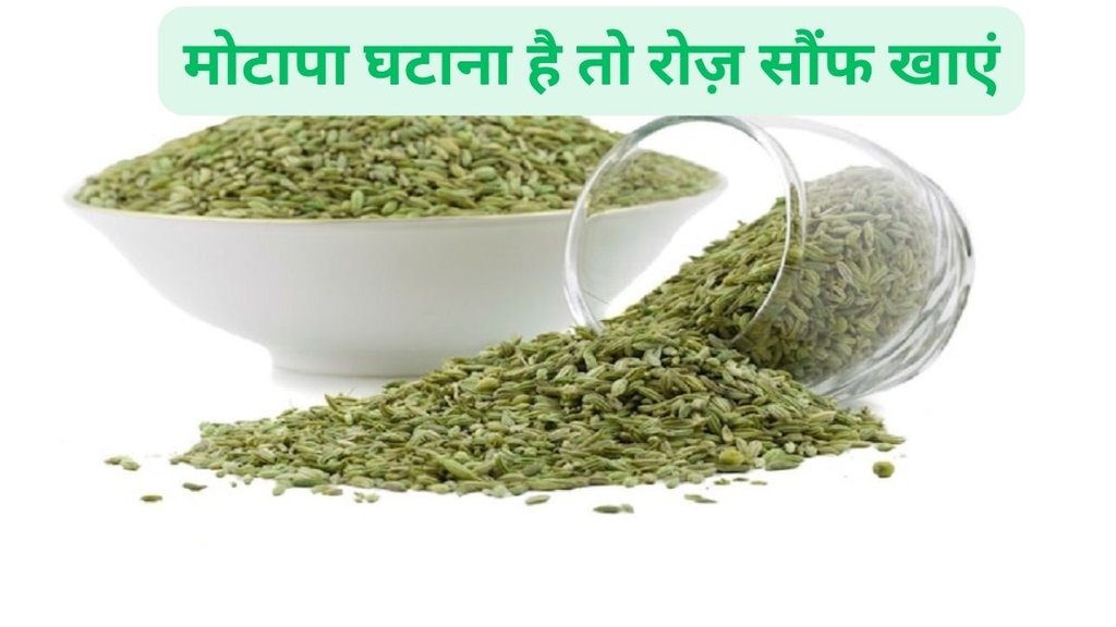 Dried fennel seeds,low in calories fennel seeds good for weight loss,weight loss foods,fennel seeds for weight loss,fennel seeds for heart and gut health