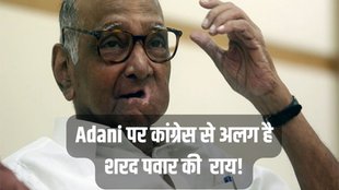 Sharad Pawar, Adani, Hindenburg Report
