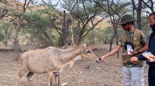 Shyam Rangeela II PM Modi II Viral