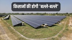 Farmer News: सोलर पैनल के लिए जमीन देने वालों को हर महीने मिलेगा 1.25 लाख किराया, इस राज्य का फैसला