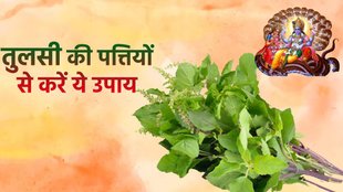 Tulsi Upay, Tulsi Totke, Tusli Leaves Upay, vaishakh Maas upay, तुलसी उपाय, तुलसी की पत्तियों से उपाय