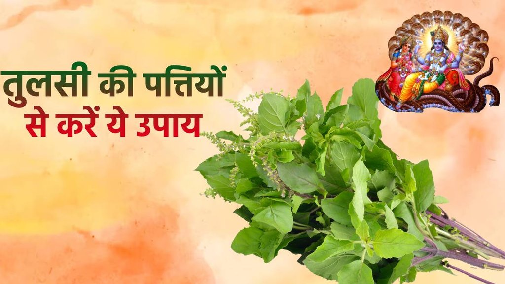 Tulsi Upay, Tulsi Totke, Tusli Leaves Upay, vaishakh Maas upay, तुलसी उपाय, तुलसी की पत्तियों से उपाय