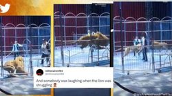 सर्कस के दौरान पिजड़े से बाहर निकला शेर तो मच गई अफरा-तफरी, वायरल हो रहा वीडियो