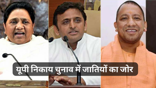 UP NIKAY CHUNAV