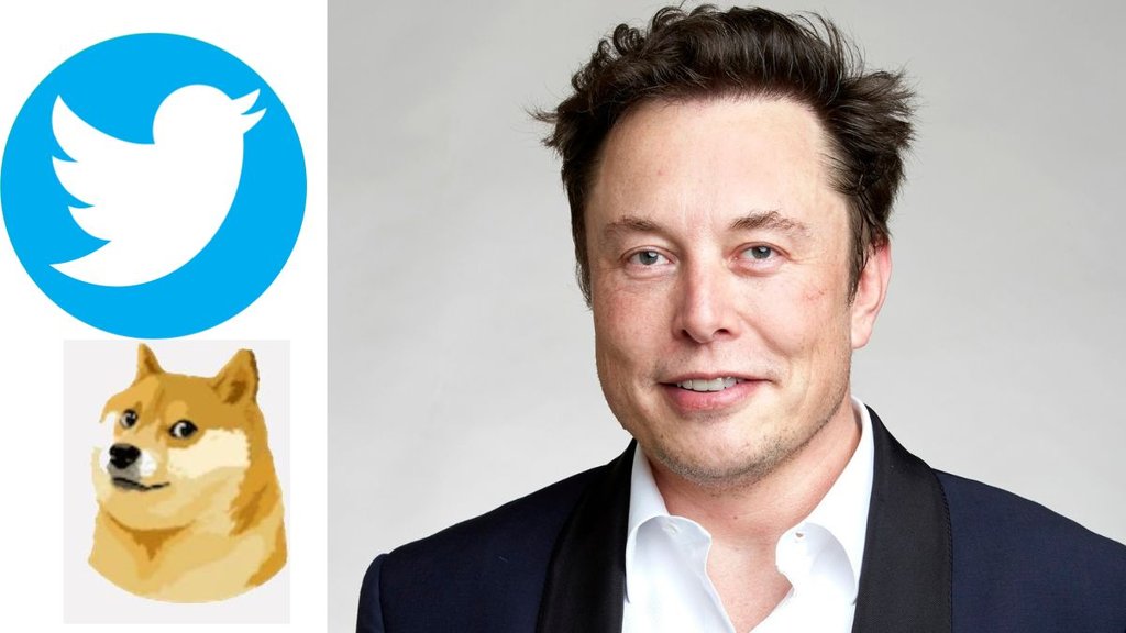 Twitter, Elon musk, Twitter logo Twitter, Elon musk, Twitter logo