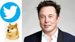 Twitter Logo: एलन मस्क ने बदला ट्विटर का लोगो, नीली चिड़िया की जगह लगाई Doge की तस्वीर