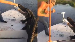 Viral Video II Trending News