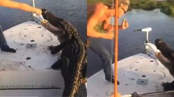 नाव पर चढ़े मगरमच्छ को मुक्का मारने लगा युवक, जानिए आगे का माजरा