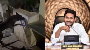 Viral Video II jagan Mohan Reddy II Andhra Pradesh