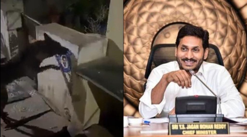 Viral Video II jagan Mohan Reddy II Andhra Pradesh