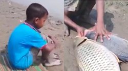 बच्चे ने मछली पकड़ने के लिए लगाया गजब का जुगाड़, वीडियो खूब हो रहा वायरल