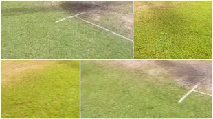 SRH vs MI Pitch Report | Hyderabad Weather Forecast | SRH vs MI