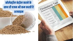 सुबह गुनगुने पानी में बस एक चम्मच मिलाकर पीजिए ये चीज, पेट की चर्बी के साथ बैड कोलेस्ट्रॉल का भी बज जाएगा बैंड, जानें बनाने का तरीका
