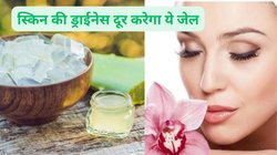 Skin Care: गर्मी आते ही पपड़ी की तरह सूख रहा है चेहरा, इस खास जेल का करें इस तरह इस्तेमाल, सॉफ्टी की तरह मुलायम हो जाएगी स्किन
