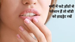 Lips Care: गर्मी में होंठ फटने के हो सकते हैं ये 10 कारण, जानिए 4 घरेलू उपाय जो इस परेशानी से जल्द दिलाएंगे निजात