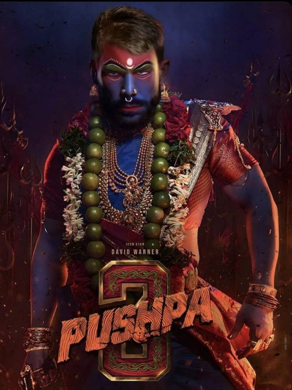 DAVID WARNER COPIED PUSHPA LOOK OF ALLU ARJUN
