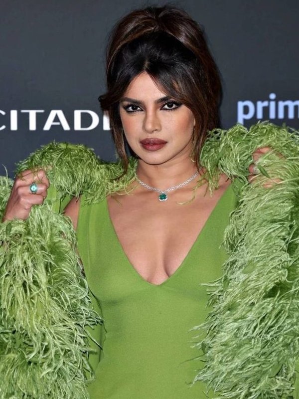 PRIYANKA CHOPRA AND THESE STARS REJECTED FROM FILMS