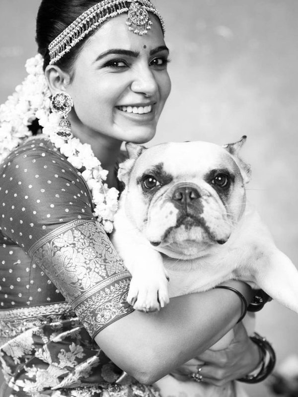 SAMANTHA RUTH PRABHU AND OTHER SOUTH STARS ARE PET LOVERS