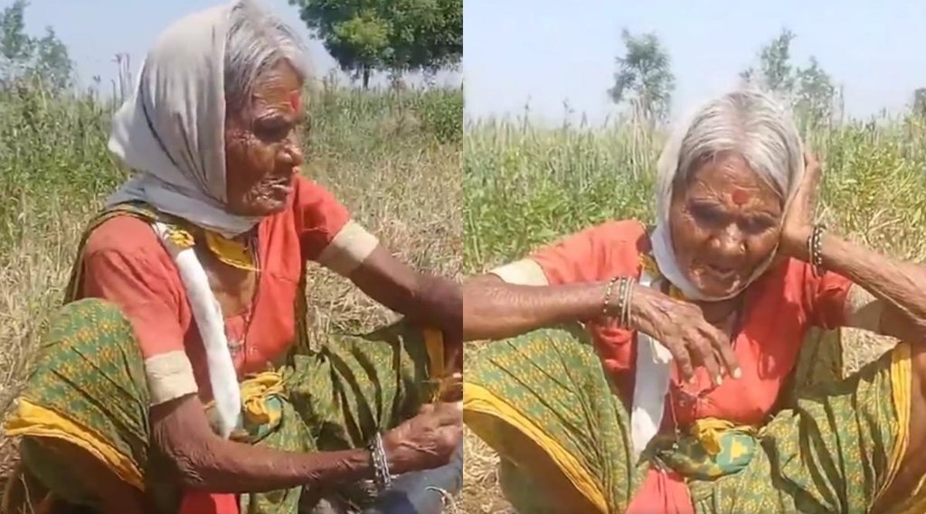 dadi Viral Video II Viral II Trending News