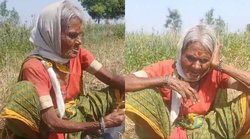 खेत में काम करते हुए दादी ने गाया ‘बहारों फूल बरसाओ’, इस वीडियो ने जीत लिया लोगों का दिल