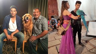 Animal Gurukul supplies animals for films and TV shows