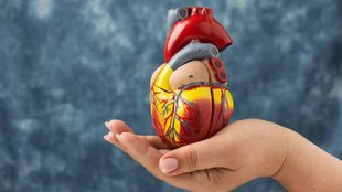 world health day, heart disease causes, heart disease symptoms, heart disease prevention, हार्ट डिजीज के बारे में सबकुछ