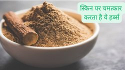 चेहरे के मुहांसों और काले दाग-धब्बों से परेशान हैं तो इस प्राचीन हर्ब्स से करें स्किन की समस्याओं का समाधान, एक्सपर्ट से समझिए कैसे