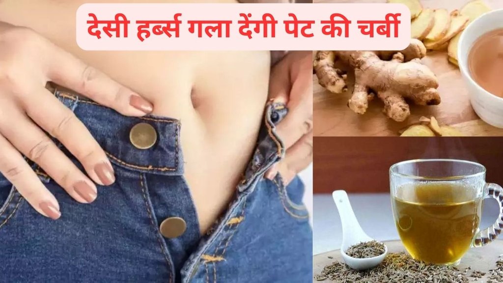 herbs for weight loss, weight loss diet,weight control tips, weight loss, how to loss weight with kitchen ingredients, weight loss drink, weight loss diet in hindi, weight loss diet, weight food, how to use ginger powder for weight loss