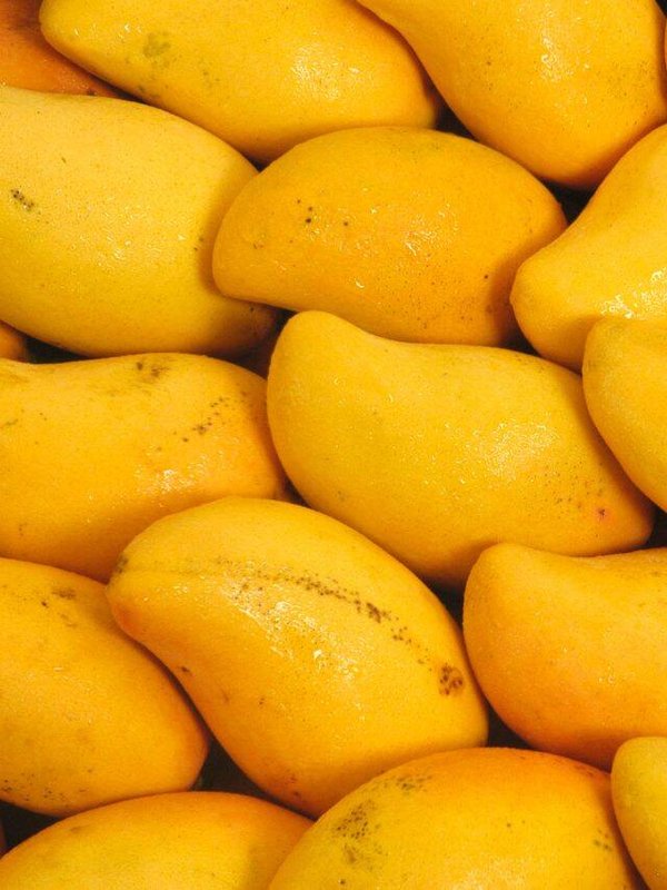 शीर्षक रहित डिजाइन - 2023-04-12T134610.434