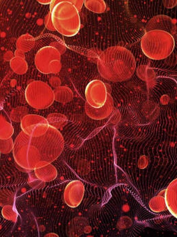 istockphoto-1005715630-612x612 (1)