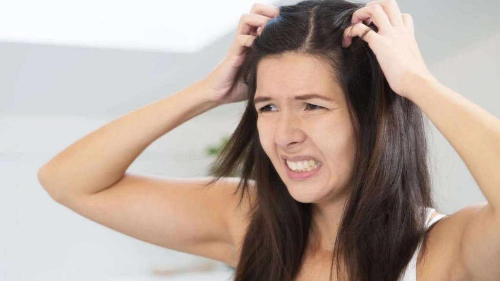 scalp folliculitis treatment, what is scalp folliculitis, scalp acne,scalp folliculitis, scalp folliculitis signs,