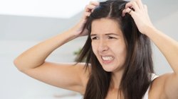 Itchy Scalp Cause and Treatment: सिर खुजलाना सिर्फ डैंड्रफ नहीं, हो सकते हैं ये खतरनाक संकेत, गर्मी में खास ख्याल की है जरूरत