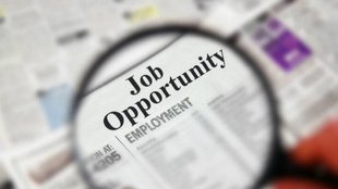 Jobs | Media Students | IB मिनिस्टरी