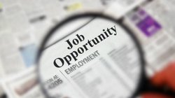 नॉर्दर्न कोलफील्ड्स लिमिटेड दे रहा है जॉब का बेहतरीन मौका, जानिए कहां और कैसे करना है अप्लाई