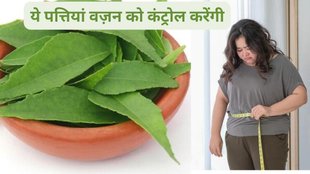 Curry leaves health benefits, Curry leaves for weight loss, Curry leaves and heart health, Curry leaves for morning sickness