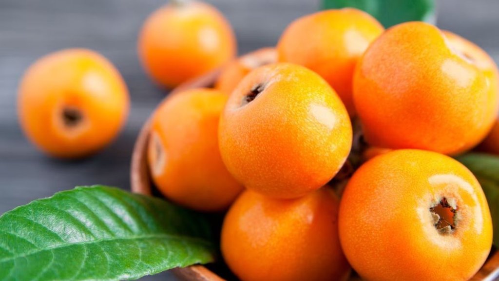 loquat fruit benefits, loquat fruit, loquat benefits, loquat fruit benefits in hindi, loquat benefits in hindi,
