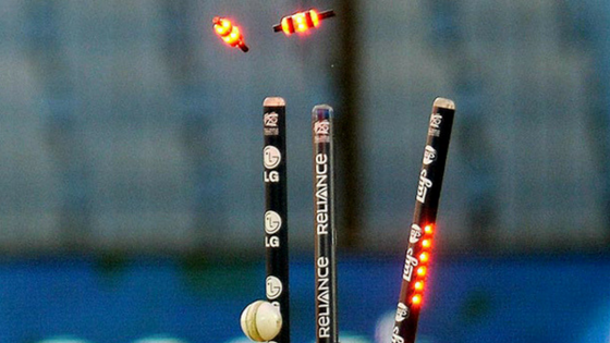 LED Stumps Price