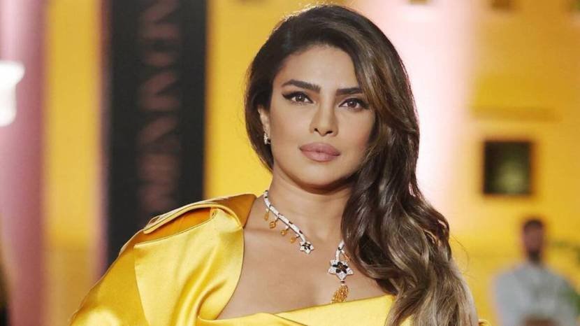 बॉलीवुड के साथ-साथ वह हॉलीवुड में भी अपना जलवा दिखा चुकी हैं.