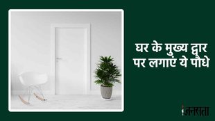lucky plants of vastu, lucky plants for wealth,