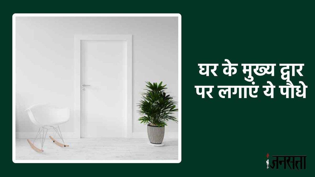 lucky plants of vastu, lucky plants for wealth,