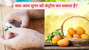Glycemic index of mangoes, Portion size of mangoes for people with diabetes, Best time to eat mangoes, Ways to eat mangoes with protein, Canned mangoes and juices vs. fresh mangoes,