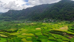 Irctc, irctc tour packages, irctc ooty package, ooty tour package, visit ooty, cheap ooty tour packages,
