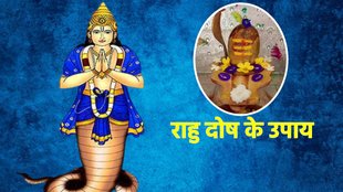Rahu Dosh Ke Upay. राहु दोष के उपाय