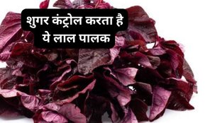 Red spinach for diabetes, Amaranth benefits for blood sugar, Low glycemic index foods for diabetics, Benefits of red spinach for health, How to consume red spinach,