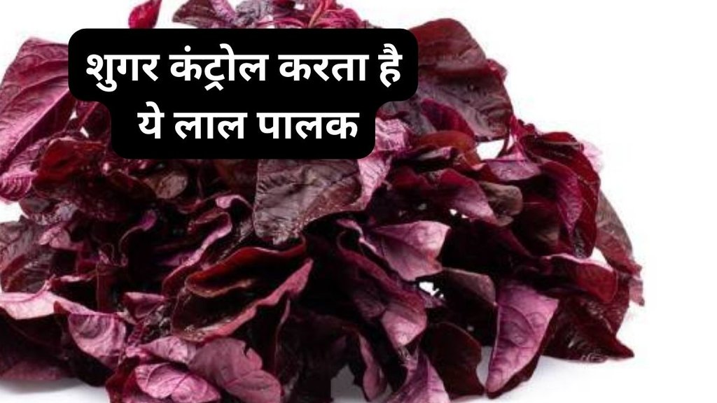 Red spinach for diabetes, Amaranth benefits for blood sugar, Low glycemic index foods for diabetics, Benefits of red spinach for health, How to consume red spinach,