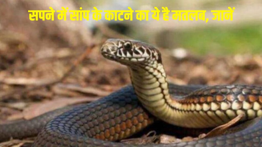 Snake Bite In Dream, sapne me sap