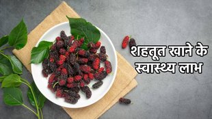 Benefits Of Shahtoot,health benefits of mulberry, Shahtoot Ke Fade, शहतूत के फायदे