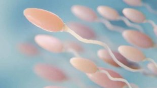 sperm doner| netherland| dutch court|
