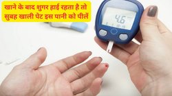 Diabetes Control Herbs: डायबिटीज मरीजों में खाने के बाद ब्लड शुगर का पारा जाता है चढ़, 3 कारामाती हर्ब्स का पानी रक्त शर्करा को कर देगा डाउन, इस तरह आजमाइए